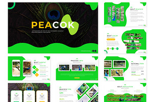 Peacok - Powerpoint Template