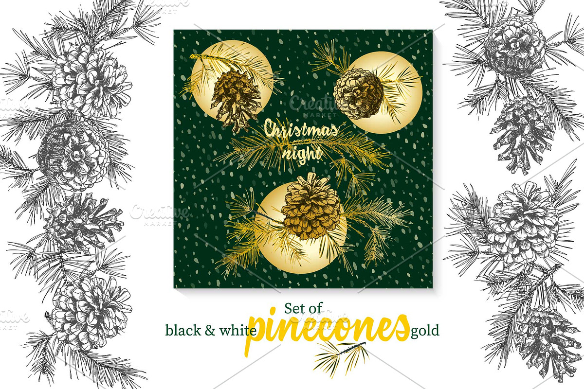 Hand drawn sketch fir with pinecone, a Decorative Illustration by Zimages (Photo 1 of 7)