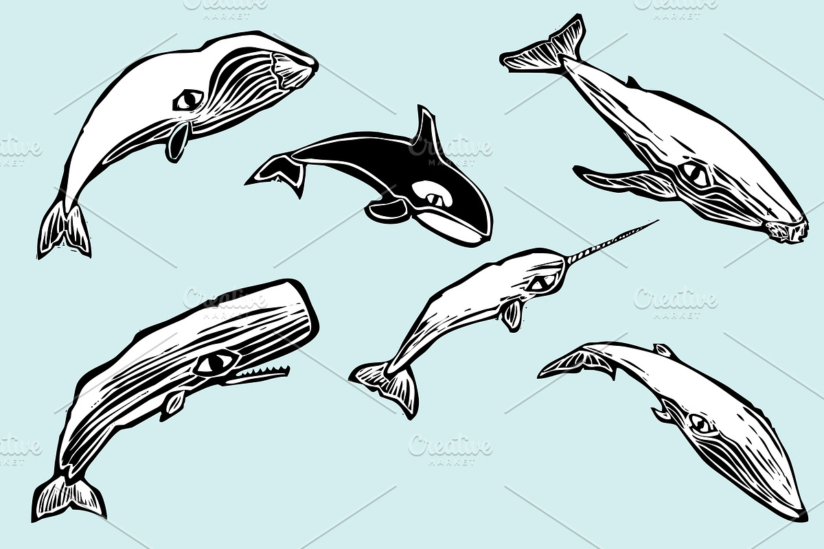 Whale Group, an Illustration by Xochicalco's Ruin