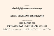Quirentis - Serif Typeface Font, a Serif Font by Rishsketch (Thumbnail 13 of 15)