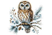 Watercolor Winter Clipart Collection, an Illustration by Designking (Thumbnail 3 of 5)