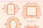Wildflower Patterns & Illustrations, a Decorative Illustration by Eclectic Anthology (Thumbnail 4 of 11)