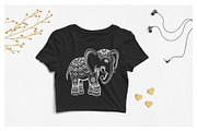 Ethnic Style Design Elements, an Illustration by Teneresa (Thumbnail 4 of 5)