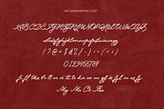 Cherie Rossé Handwritten Font, a Handwritten Font by Pinakiaa Studios (Thumbnail 13 of 14)