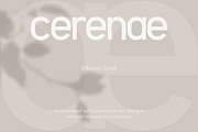 Mornelle - Modern Sans Font, a Sans Serif Font by CuratedType Studio (Thumbnail 6 of 10)