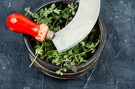 Raw sprig of marjoram, a Health & Medical Photo by MLunov MLunov
