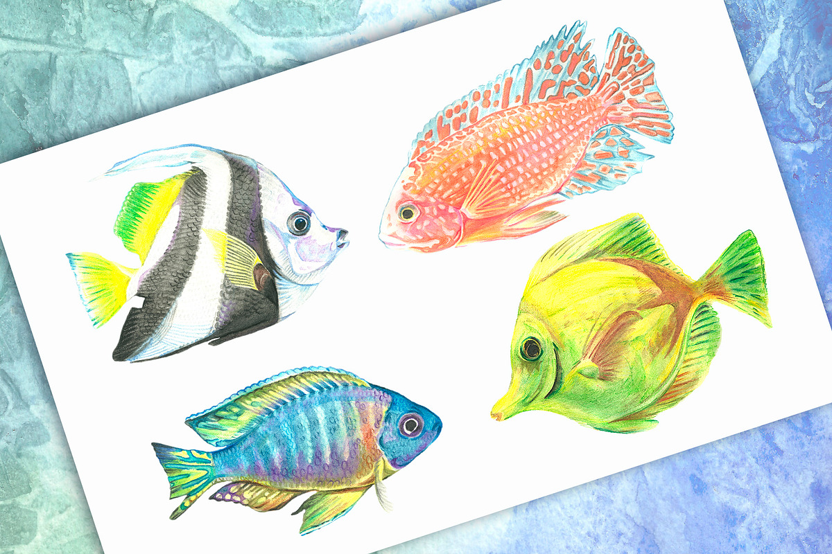 Watercolor tropical fish, an Illustration by Art Watercolor (Photo 6 of 8)