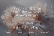 Lyodra - Modern Luxury Serif Font, a Serif Font by overlaytemplates (Thumbnail 5 of 5)