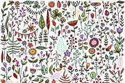 Set of hand-drawn floral elements, a Decorative Illustration by Elena Paletskaya (Thumbnail 4 of 5)