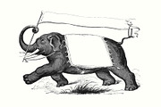 Electrotype Character Banners, an Animal Illustration by Blue Line Design (Thumbnail 6 of 6)