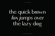 Loving Ambros, a Sans Serif Font by Say Studio (Thumbnail 8 of 15)