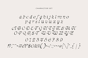 Stefania Font - Classy Font!, a Serif Font by HansCo Studio (Thumbnail 8 of 10)
