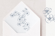 Cherry Blossom Vector Bundle, an Object Illustration by Sensual Art (Thumbnail 6 of 7)