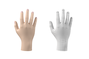 Endomorph Male Hand Base Mesh 02