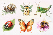 Vintage Spring Insect Clipart, an Illustration by Dream Creation (Thumbnail 4 of 7)