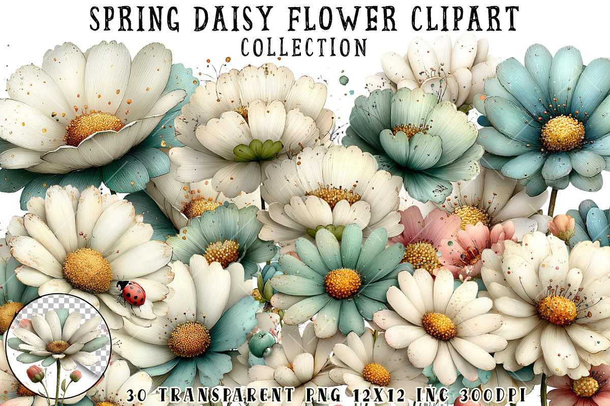 Spring Daisy Flower Clipart, an Illustration by OK Design (Photo 1 of 6)