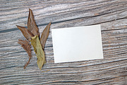 A5 Paper Mockups with autumn themes, a Print Template by shahsoft (Thumbnail 3 of 3)