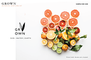 GROWN Plant Logo Branding Kit, a Branding & Logo Template by CC CREATIVE CO (Thumbnail 6 of 9)