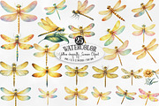 Yellow dragonfly  Summer Clipart, an Illustration by Designking (Thumbnail 1 of 4)
