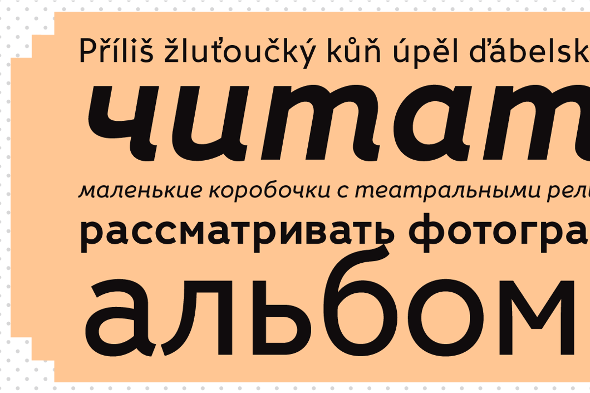 Fox Sans Pro, a Sans Serif Font by TipografiaRamis (Photo 4 of 10)