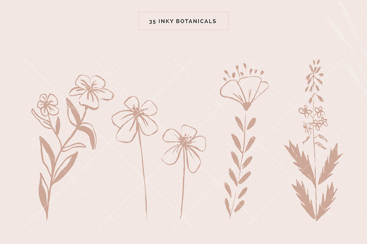 Organic Botanicals & Logo Designs, an Illustration by amber&ink (Photo 5 of 17)