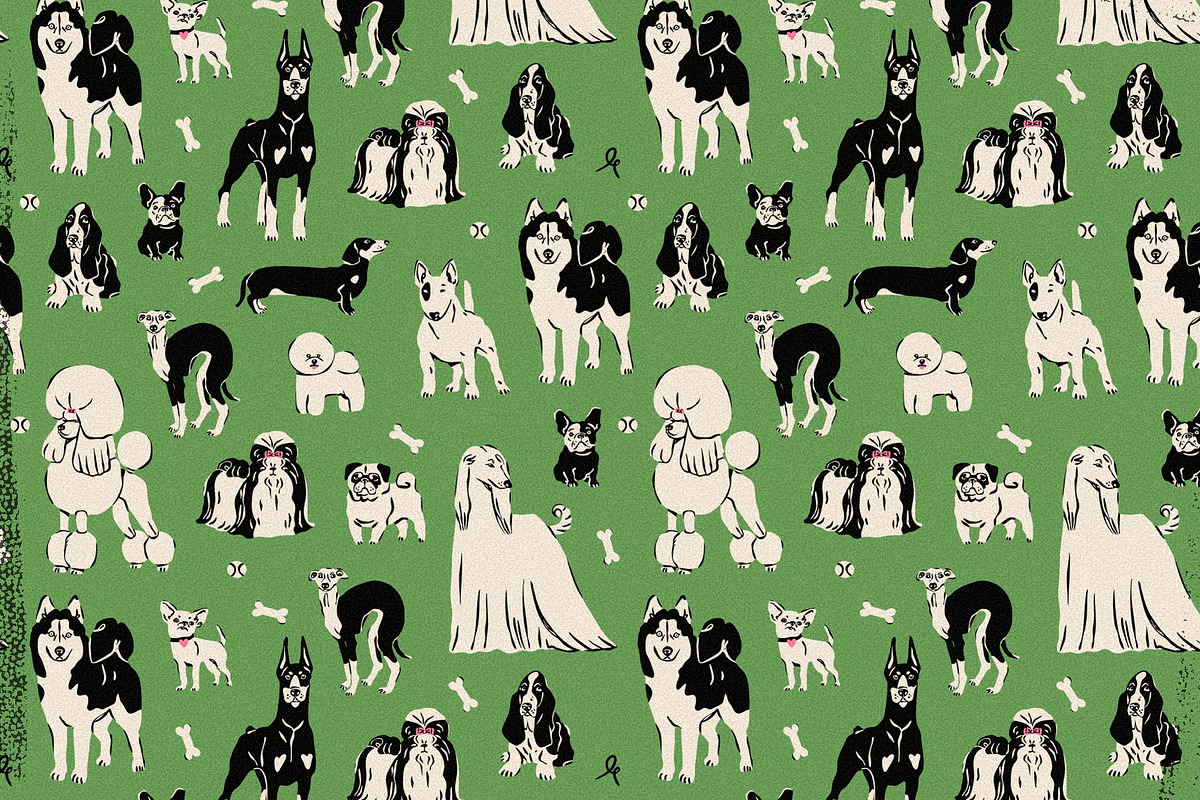 Fetch! Dogs collection, an Animal Illustration by Twisted Tail (Photo 2 of 11)