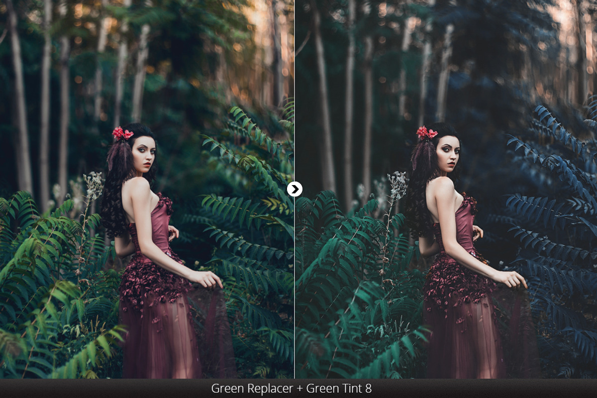 Greenizer & 100 Summer Overlays, a Plug-in Add-On by Pro Add-Ons (Photo 4 of 15)