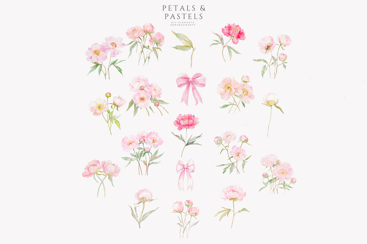 watercolor coquette pink peony set, a Decorative Illustration by Patishop Art (Photo 10 of 10)