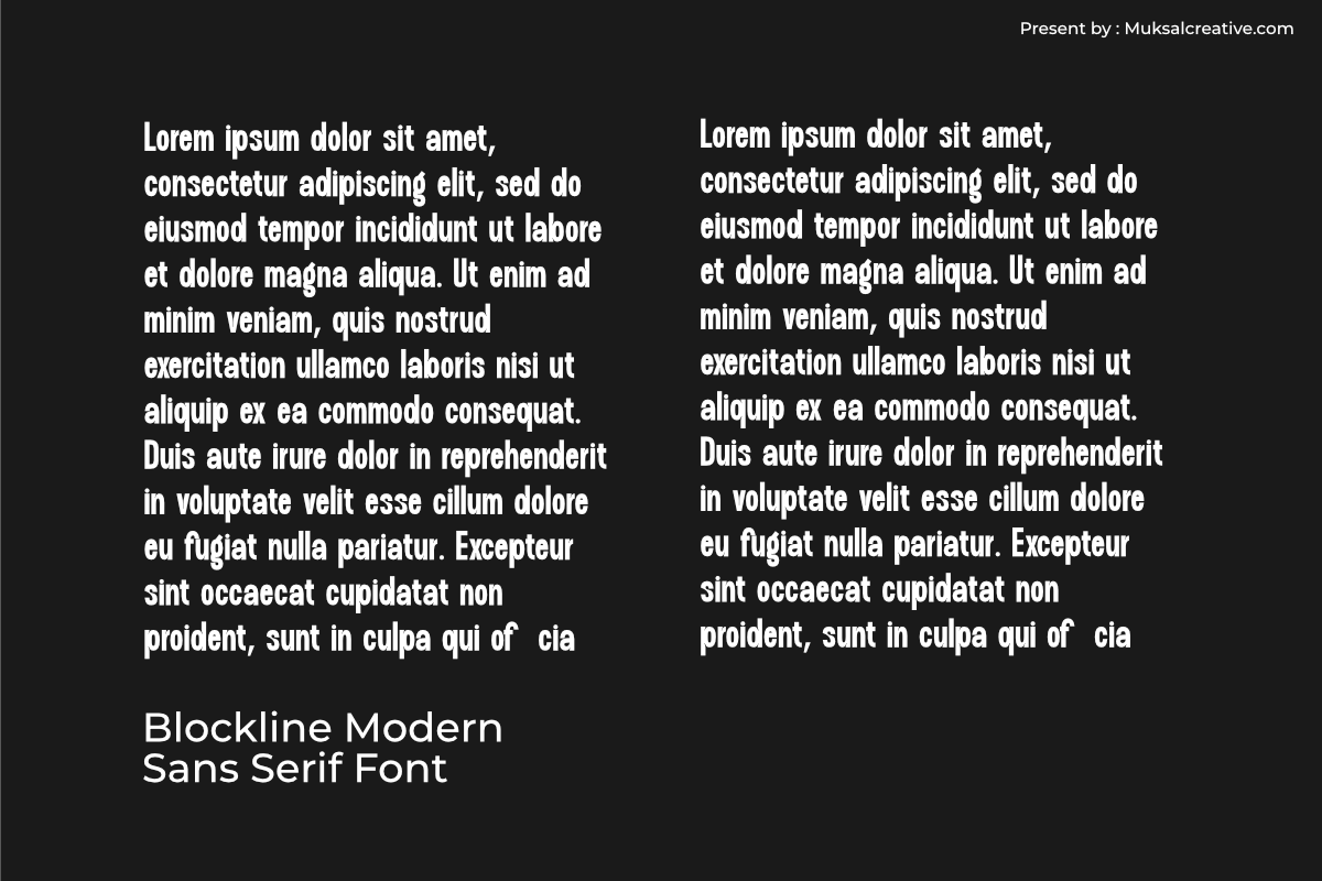 Blockline, a Sans Serif Font by Muksal Creative (Photo 4 of 10)