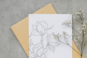 Magnolia Line Drawing Collection