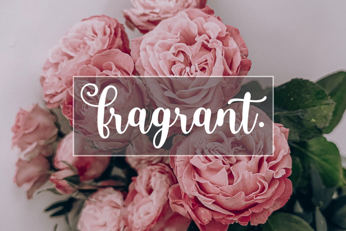 Gorlasy, a Script Font by Bosstype Studio (Photo 5 of 8)