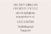 Amonelle Serif, a Serif Font by Prestige Artsy Studio (Thumbnail 9 of 9)