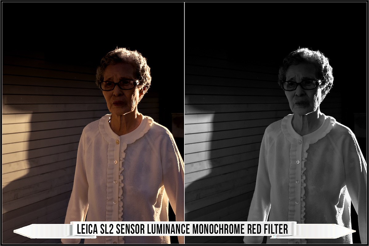 Leica Colors & Sensor Luminance, a Plug-in Add-On by Raztrend (Photo 23 of 29)