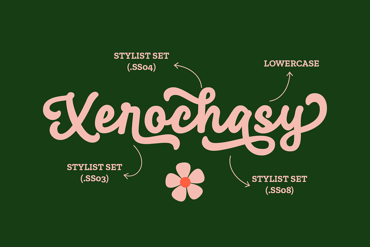 Xerochasy - a Bold Script Font, a Script Font by Ali Hamidi (Photo 3 of 9)
