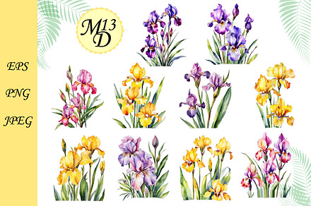 Set of 20 watercolor iris flowers