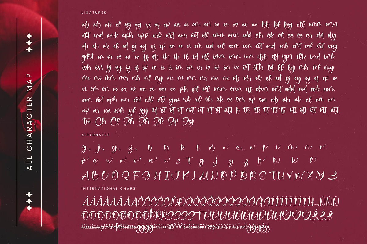 Fainter Bold Brush Font, a Script Font by stylishtype.co (Photo 19 of 20)