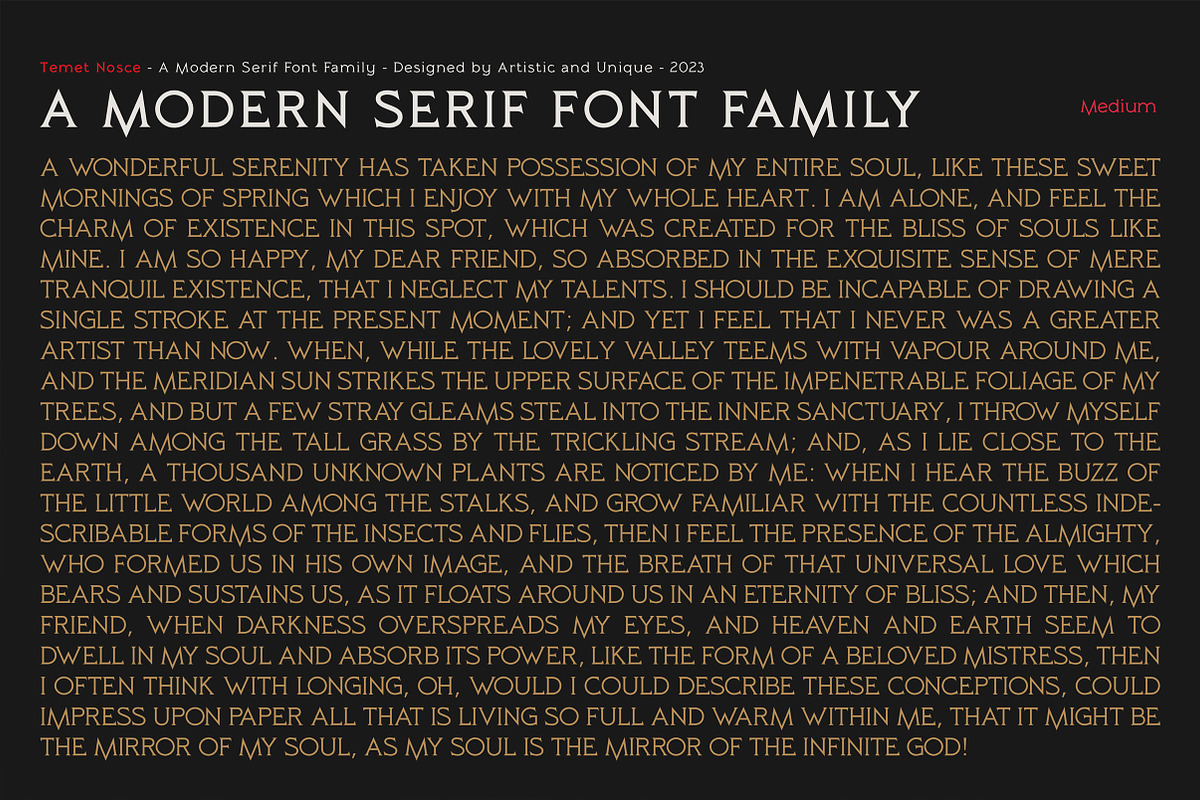 Temet Nosce - Serif font family, a Serif Font by Artistic & Unique (Photo 11 of 15)