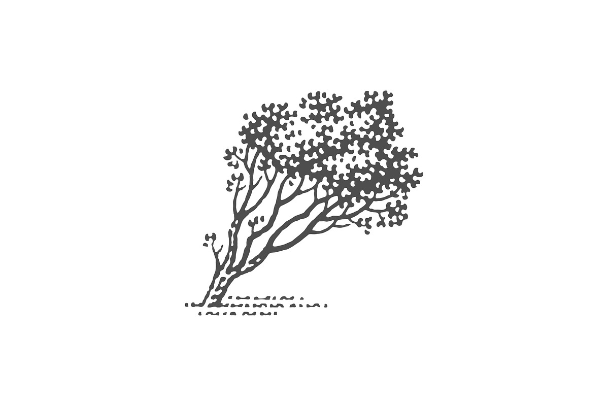 Wind shaped tree, an Object Illustration by Irina Trusova
