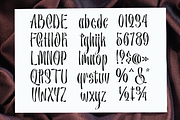 Cenolle - Modern Brush Font, a Handwritten Font by TypeClassHeroes (Thumbnail 3 of 10)