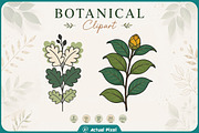 Boho Botanical Leaves Clipart Bundle, a Nature Photo by Actual Pixel (Thumbnail 9 of 21)
