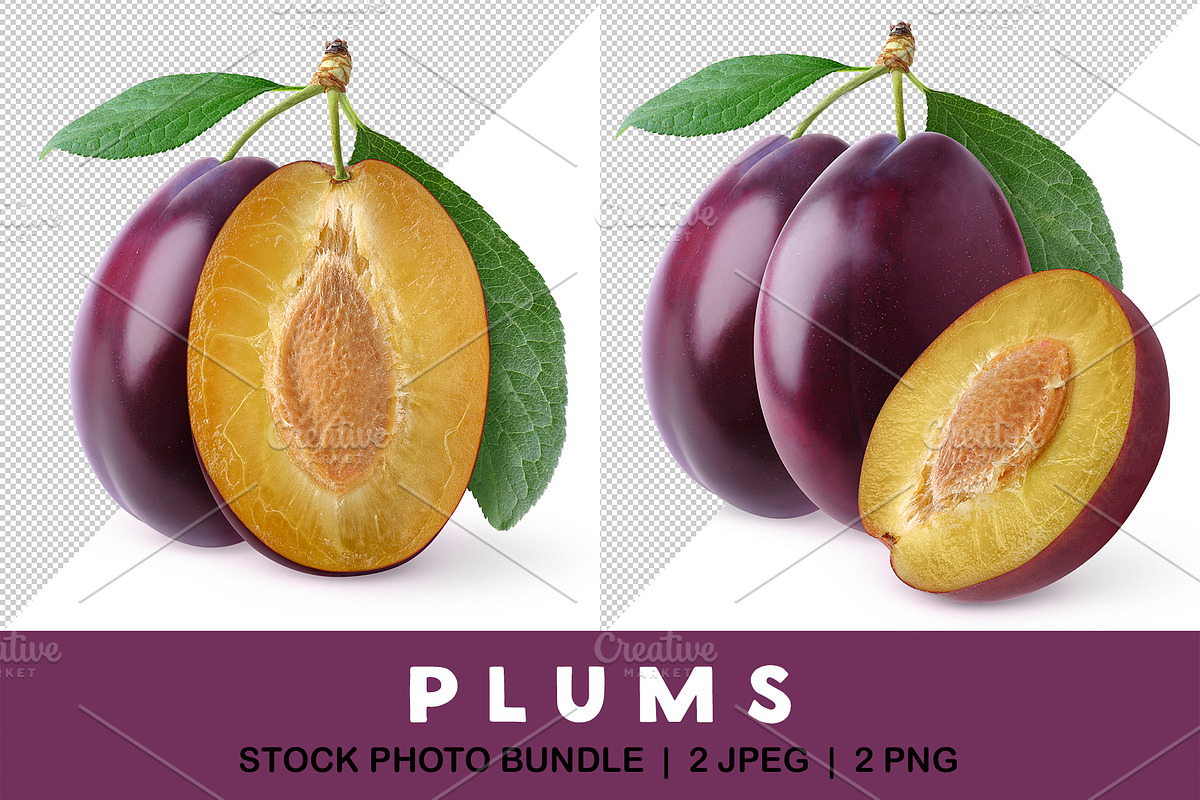 Cut plumes with stems and leaves
