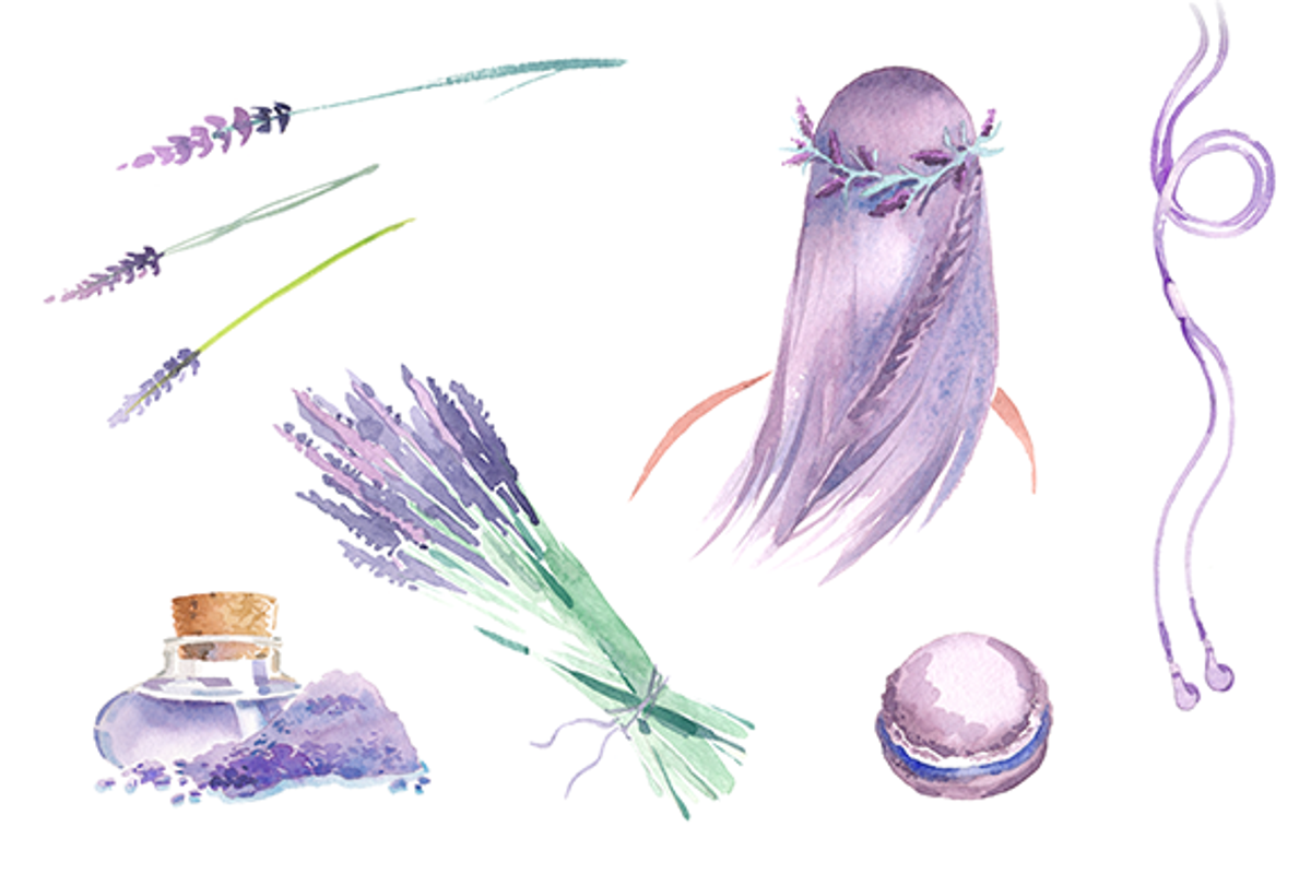 Watercolor Lavender clipart set, an Illustration by masha gross (Photo 1 of 3)