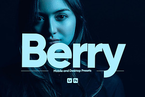 Berry Presets for Lightroom, a Preset Add-On by Hubzway