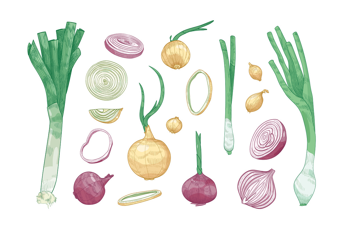 Onion set and seamless pattern, a Food Illustration by Good Studio (Photo 2 of 7)