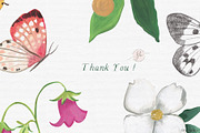 Wildflowers, an Illustration by Flora+Bear (Thumbnail 11 of 11)