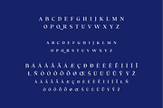 Trusted Serif Logo Font, a Serif Font by LoneArmy (Thumbnail 9 of 11)