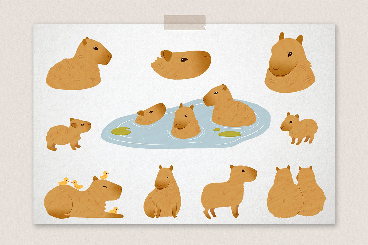 Relax Capybara Clipart, an Animal Illustration by LukaJreym (Photo 2 of 8)