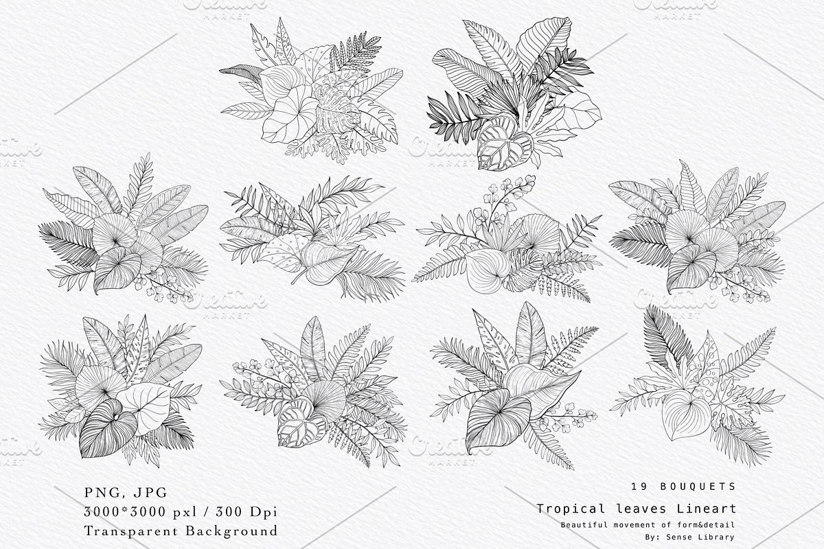 “Charm” Tropical Leaves Lineart, an Illustration by Sense Library (Photo 6 of 23)