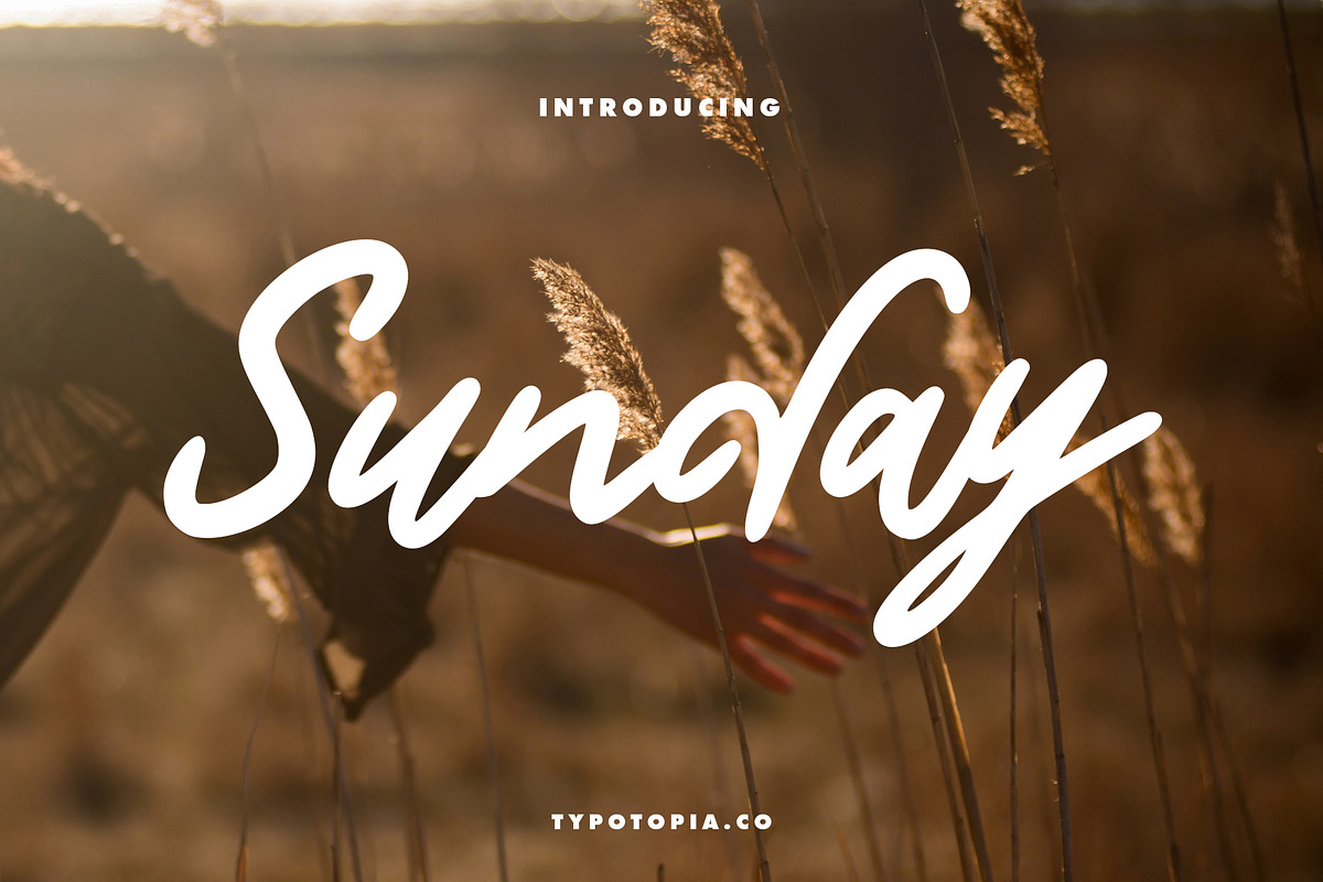 Sunday Handwritten Script Font, a Script Font by edukka (Photo 1 of 7)