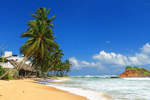 Beautiful beach in mirissasri lanka featuring beach, landscape, and view